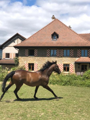 Ferme de Grandchamp